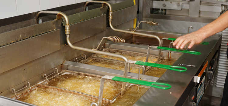 Bertazzoni Commercial Fryer Repair in Gloucester
