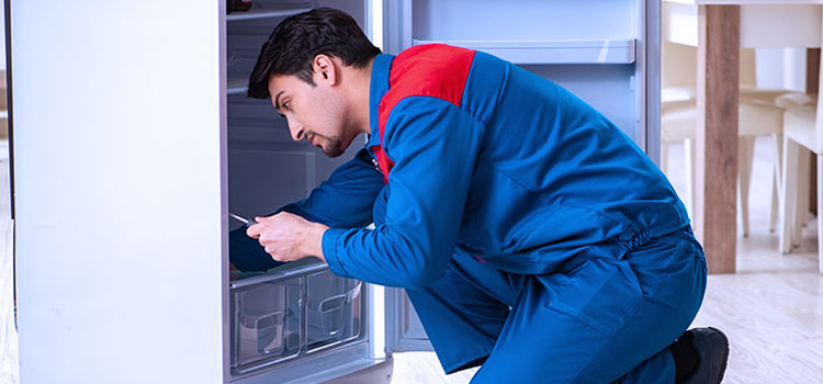 Brada Freezer Repair Services in Gloucester